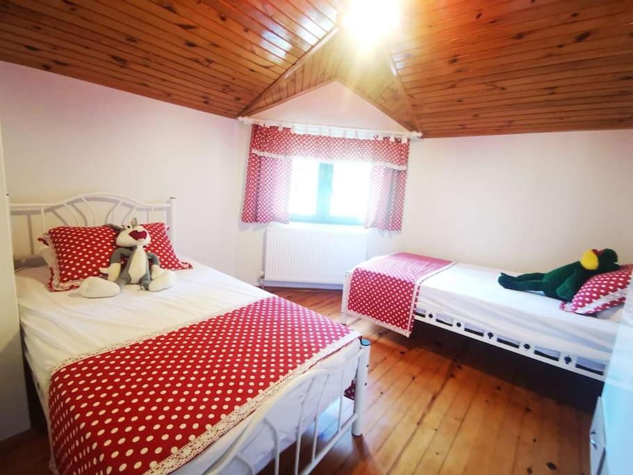 Sardunya Villa - Housity