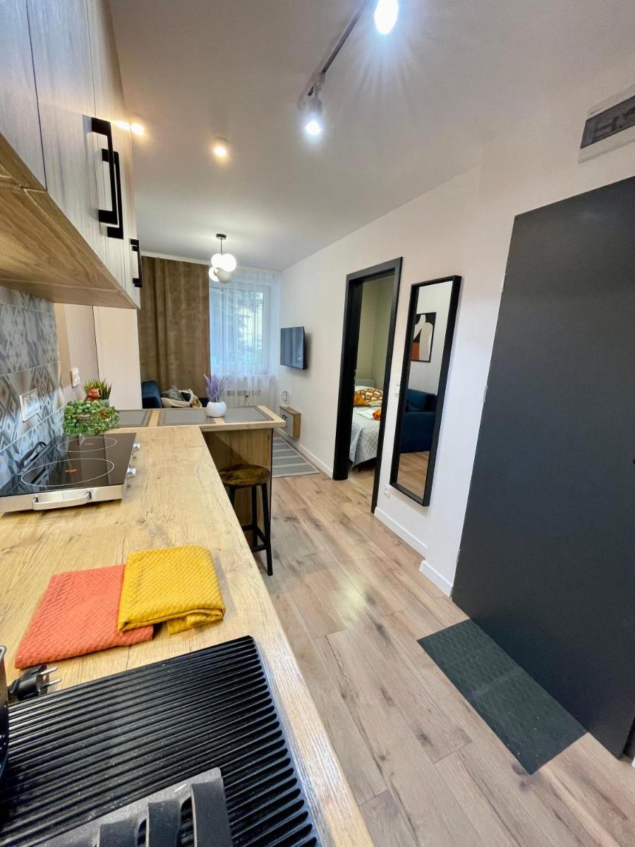 Apartament w sercu miasta - Housity