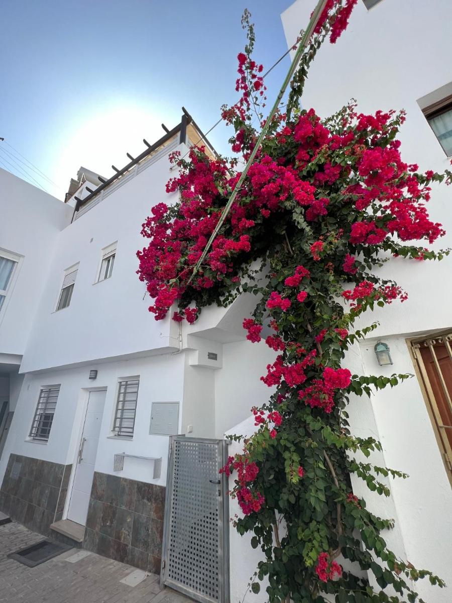 Apartamento La Ola - Housity