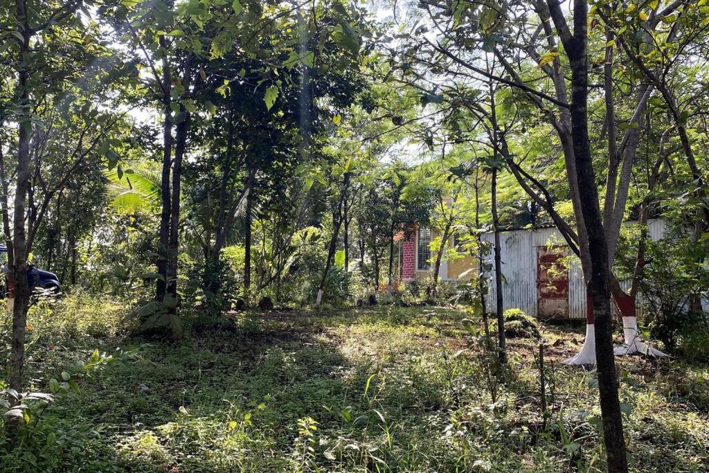 Prashant Ghodke's Farmhouse - Housity