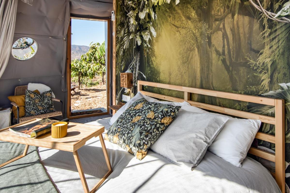 Dome house on ecological mango farm - Housity