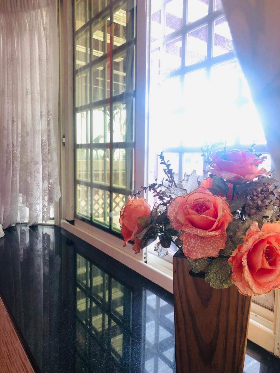 Starlight Forest B&B - Housity