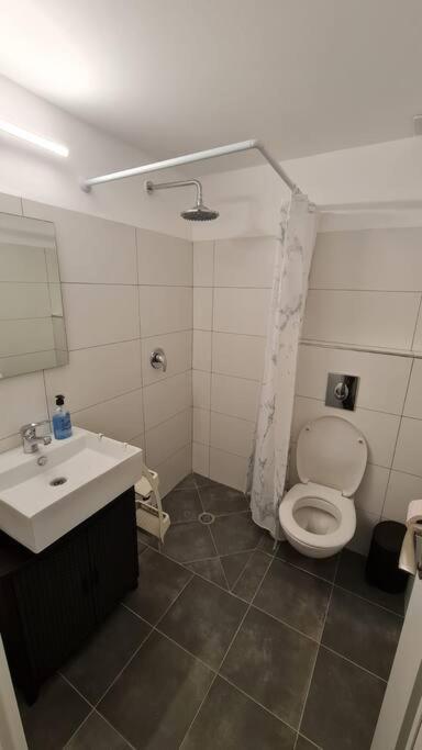Adorable Basement Apartment in a Kibbutz - Housity