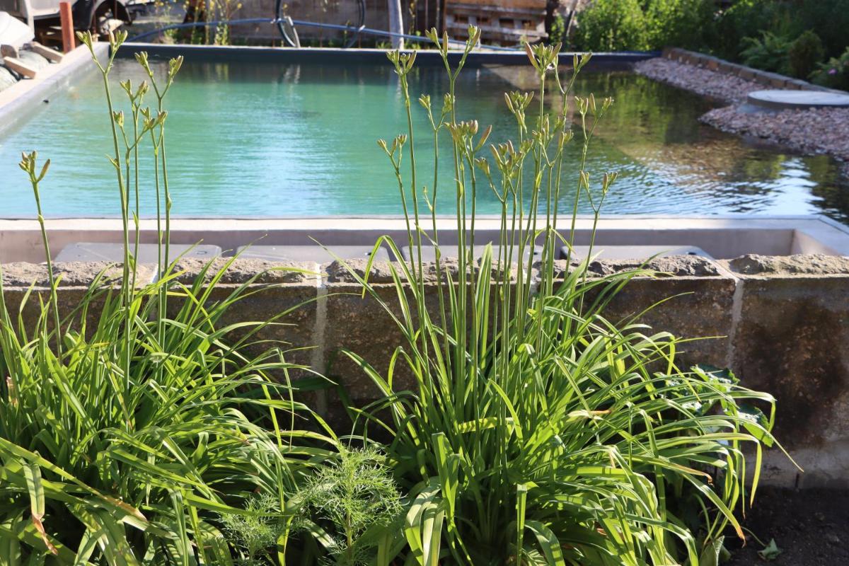 Drei-Seiten-Hof Étable mit Schwimmteich und Klimanlage - Housity