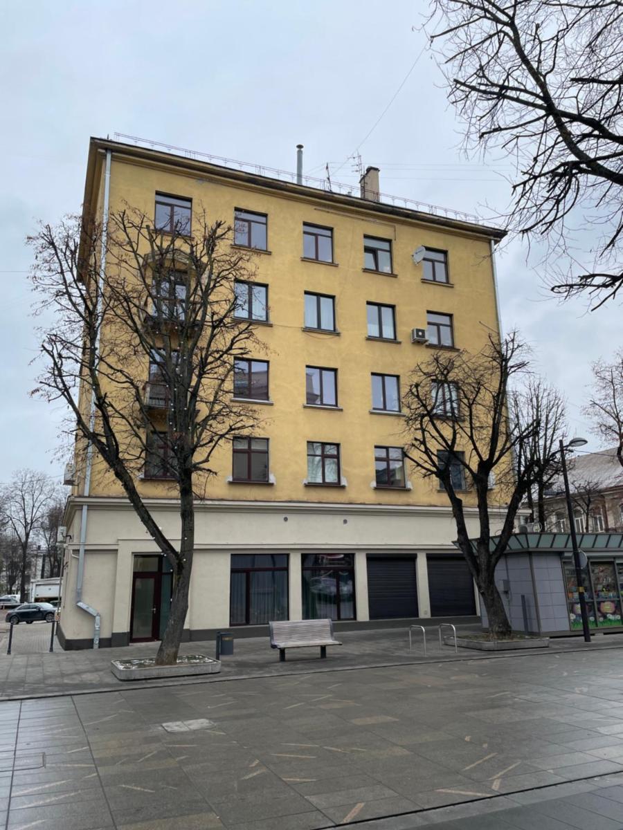 Daukanto 5 - Hizvo