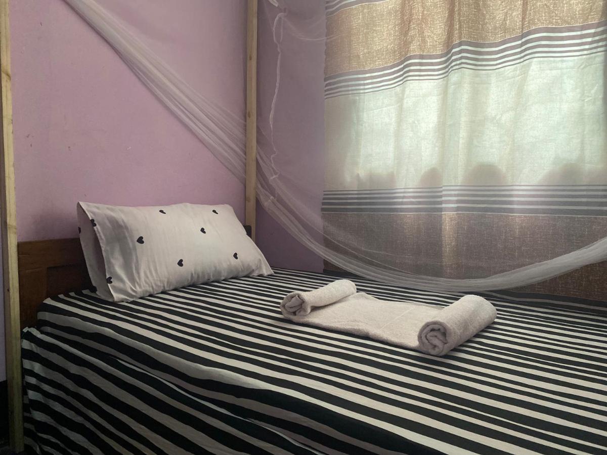 Ava garden backpackers - Housity