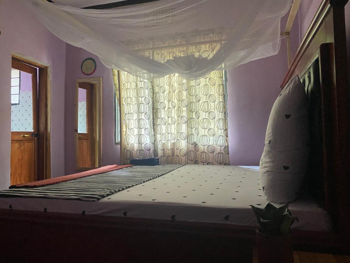 Ava garden backpackers - Housity