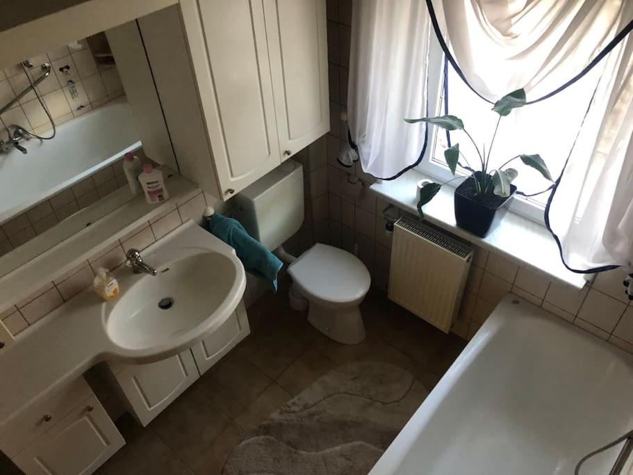 Ferienwohnung in Golßen/Spreewald, Tropical Island - Housity