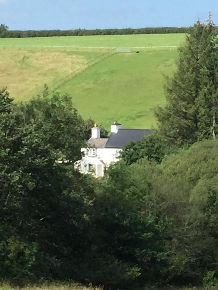 Brentor Self-catering - Housity