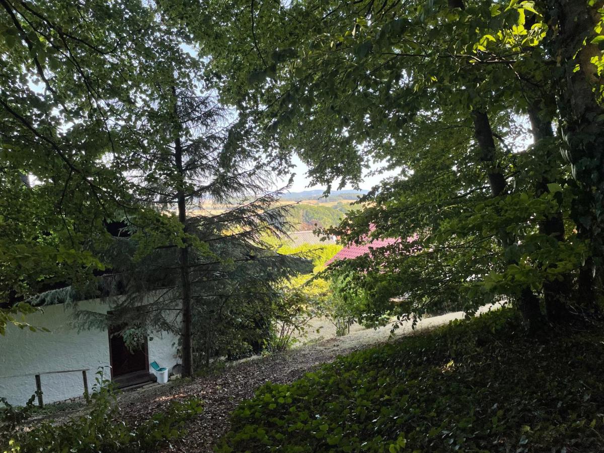 Ferienhaus Eifelblick - Housity