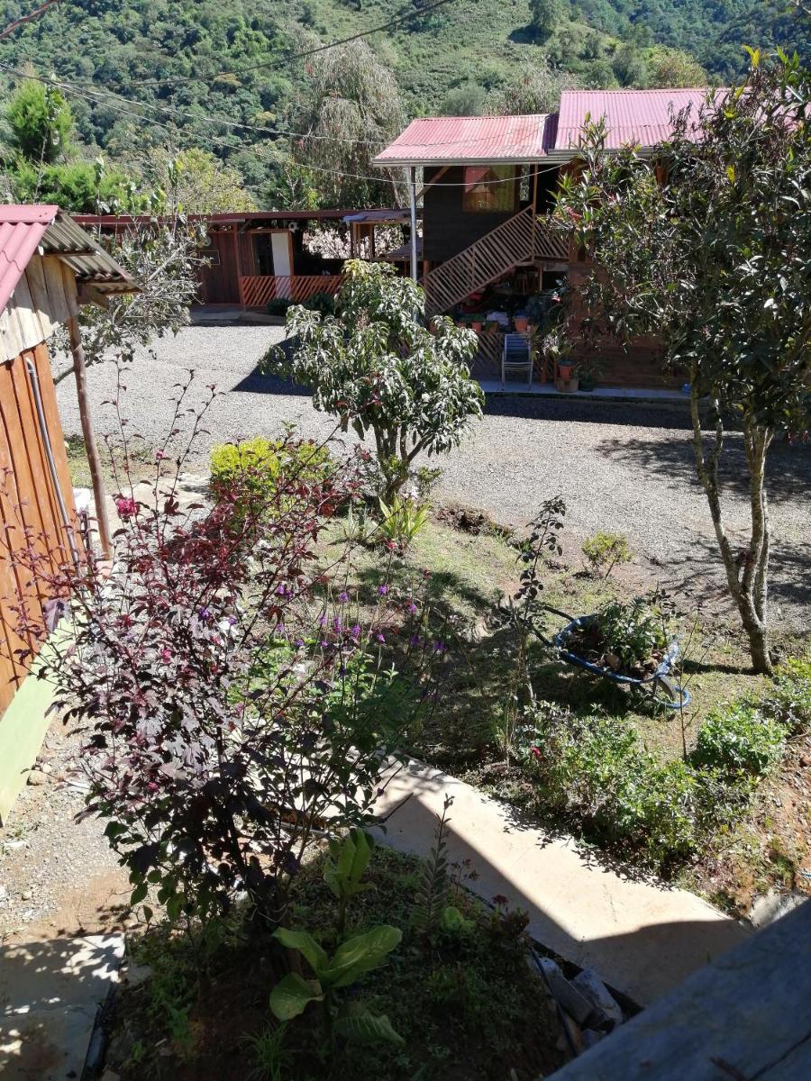 Lodge él Savegre Providencia - Housity
