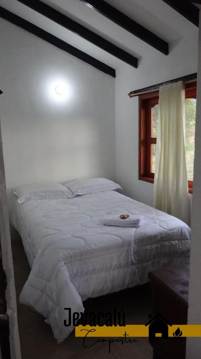 Jevacalu campestre - Housity