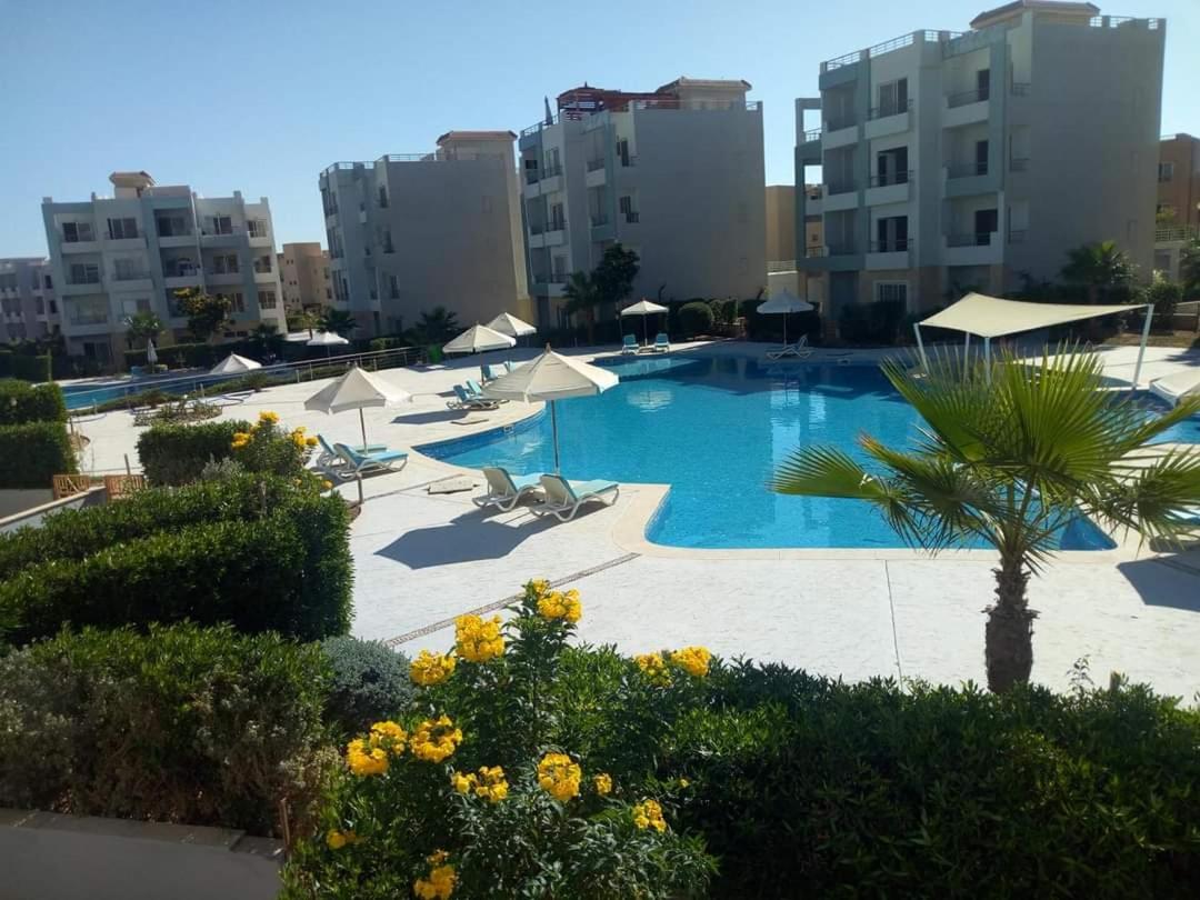 comfortable apartment - Housity