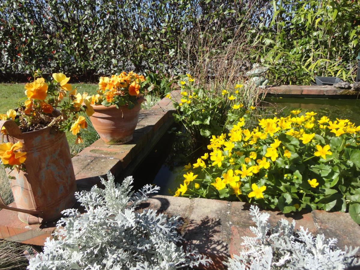Jardin de l'établissement Logis Hotel Le Nuage