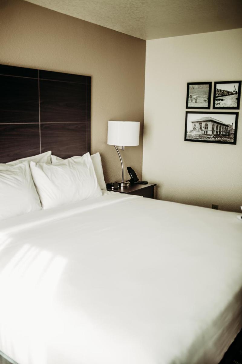 Cobblestone Hotel & Suites International Falls - Housity