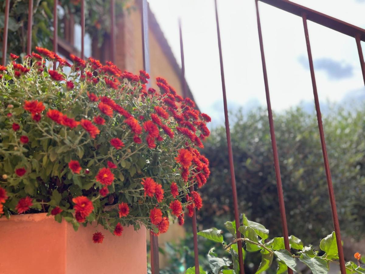 Jardín al aire libre en Les Vinyes Alojamiento Rural Boutique & SPA