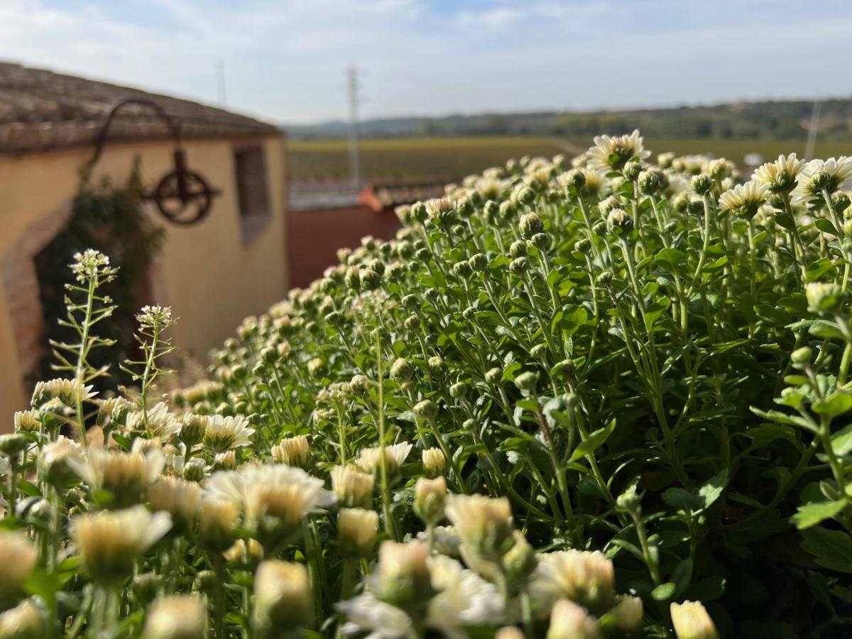 Jardín al aire libre en Les Vinyes Alojamiento Rural Boutique & SPA