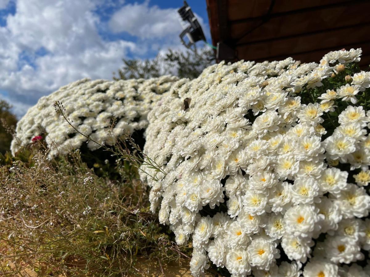 Jardín al aire libre en Les Vinyes Alojamiento Rural Boutique & SPA