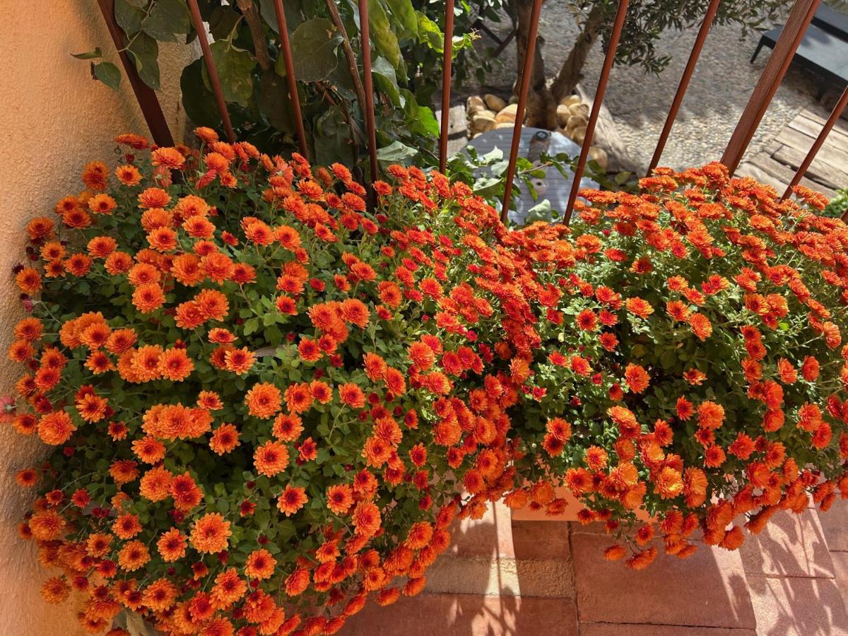 Jardín al aire libre en Les Vinyes Alojamiento Rural Boutique & SPA
