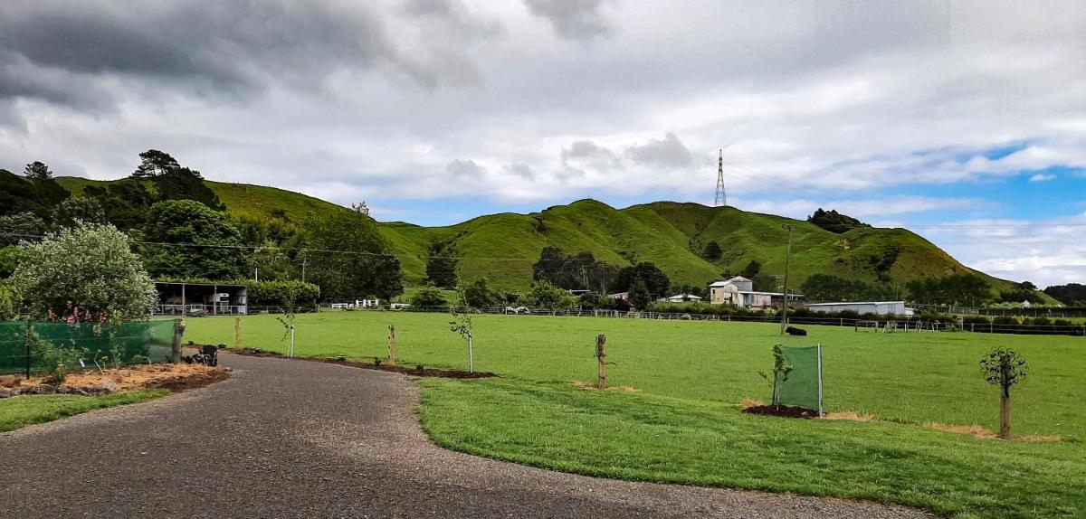 Waiora cottage - Housity