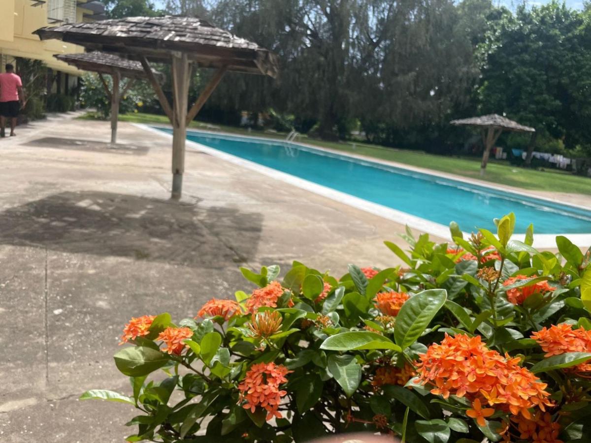 Golden Triangle Accomodation - Housity