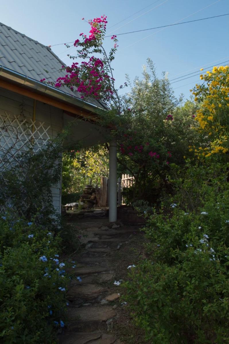 Cozycomo Nam Nao - Housity