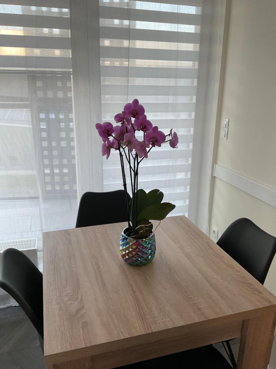 Apartament „Dwie Wieże” - Housity