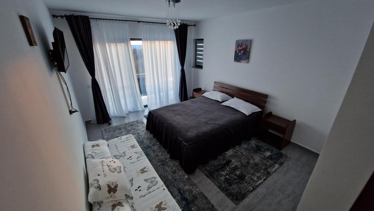 Casa de vacanta Larisa - Housity