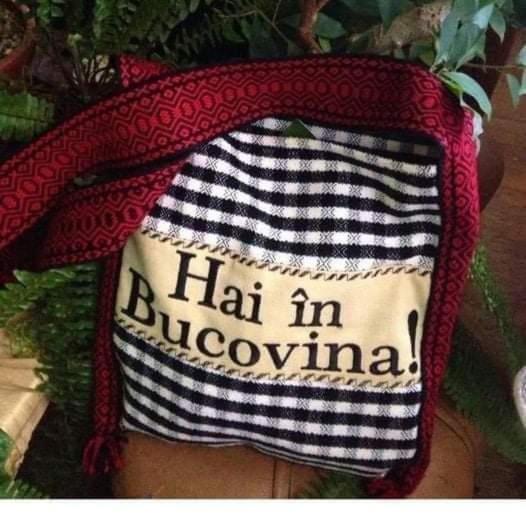 Pensiunea Casa Fierarul din Bucovina - Housity