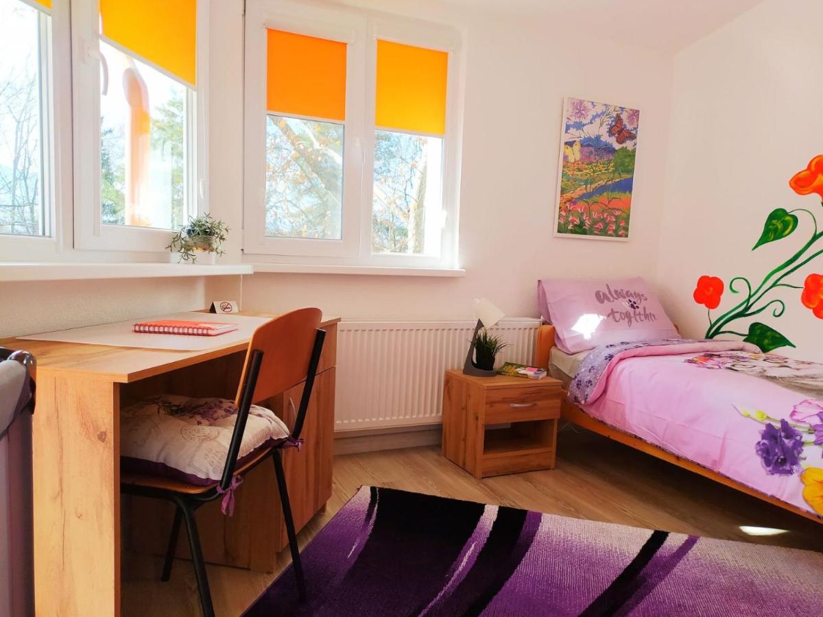 Дом за Гости Осогово - Housity