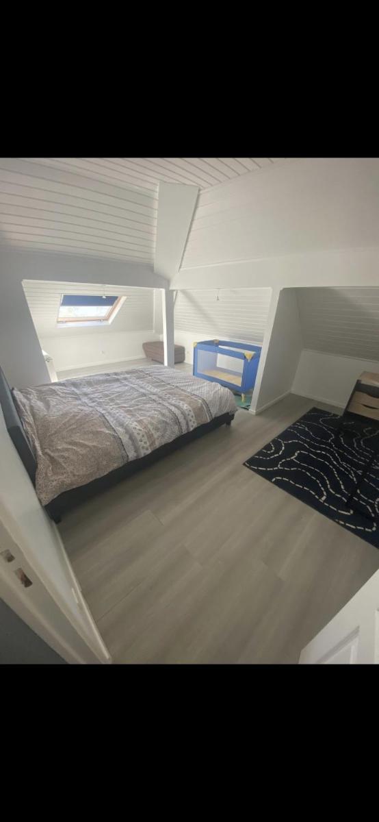 Loft mitry - Housity