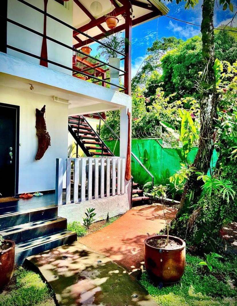 Suitetrails - BUDDA HOME