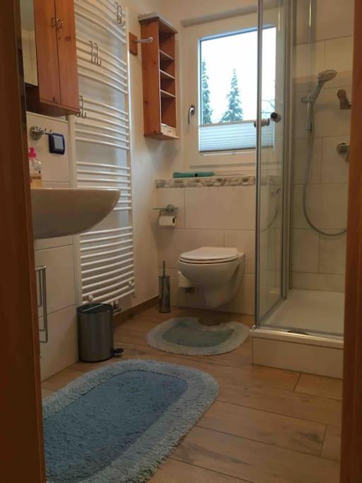 Ferienwohnung Apartment Doppelzimmer in der Villa Naturpark Rheinblick, ruhig, Aussicht, Pool - Housity