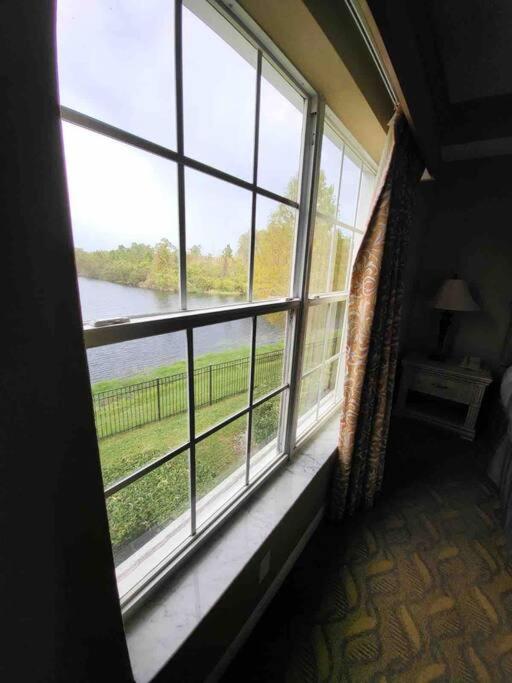 All furnished condo -than 10 min from major Parks! - Hizvo