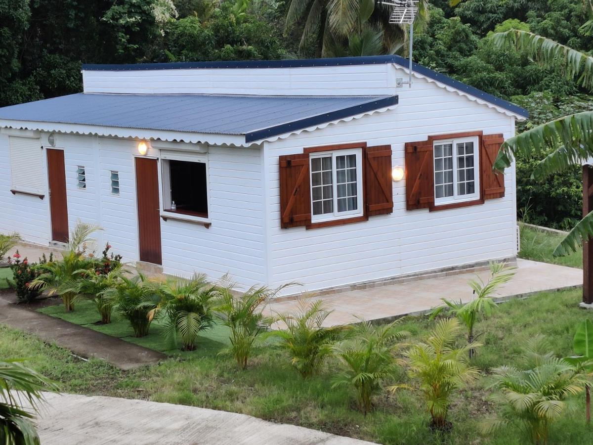 Keshy island colibri - Housity