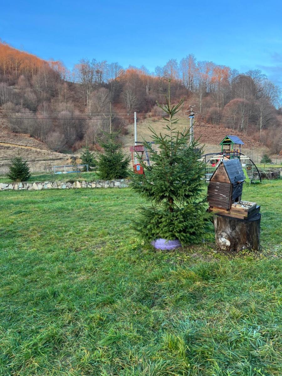 Apartament cu vedere la munte - Housity