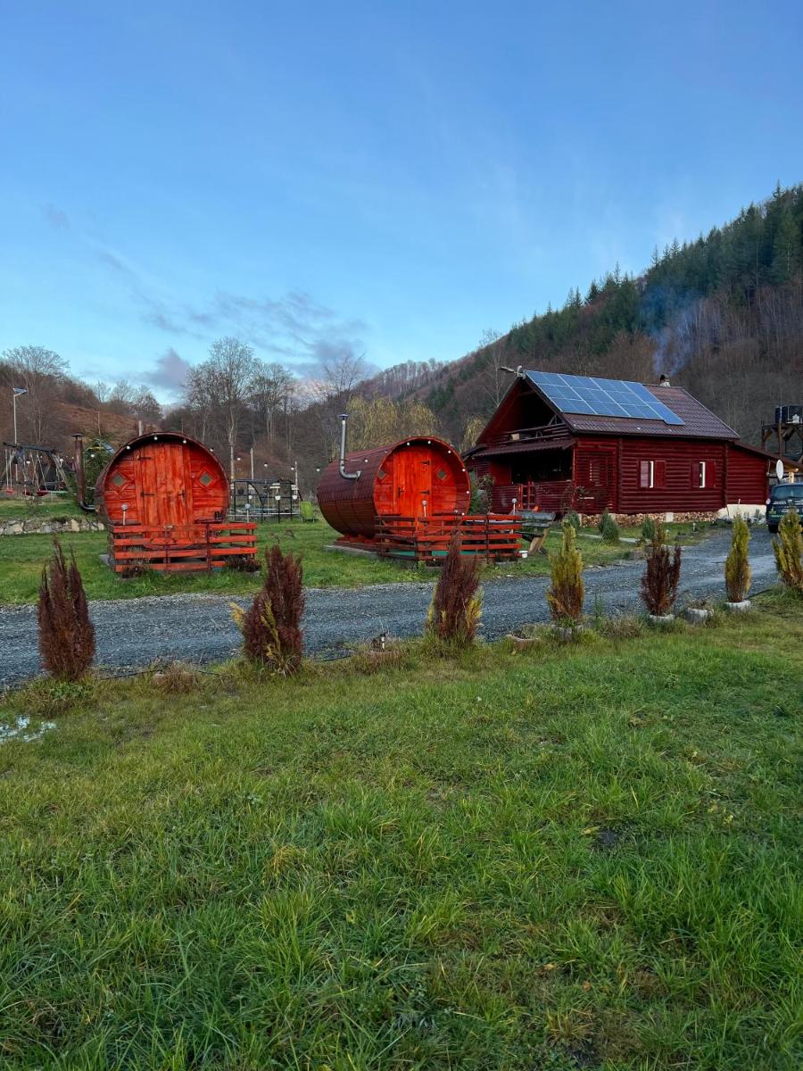 Apartament cu vedere la munte - Housity