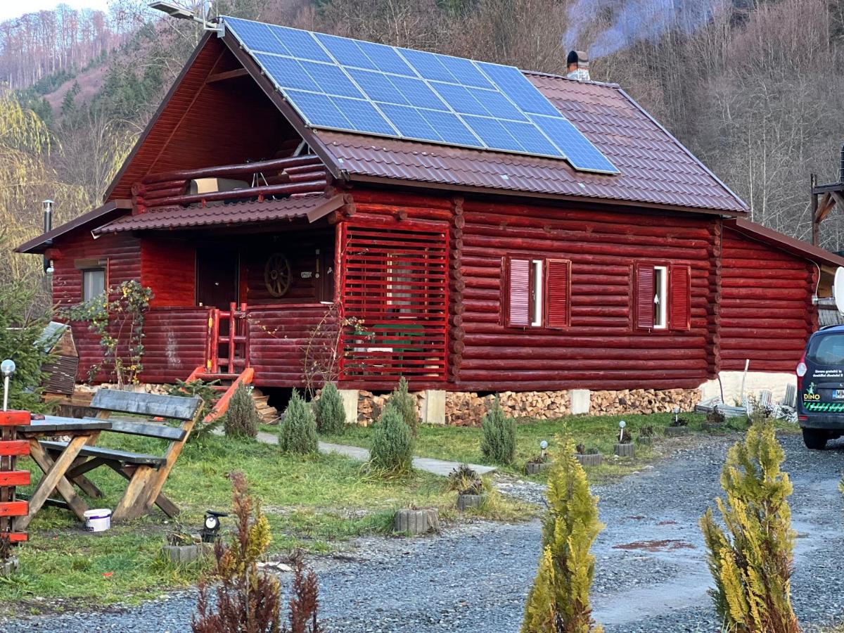 Apartament cu vedere la munte - Housity