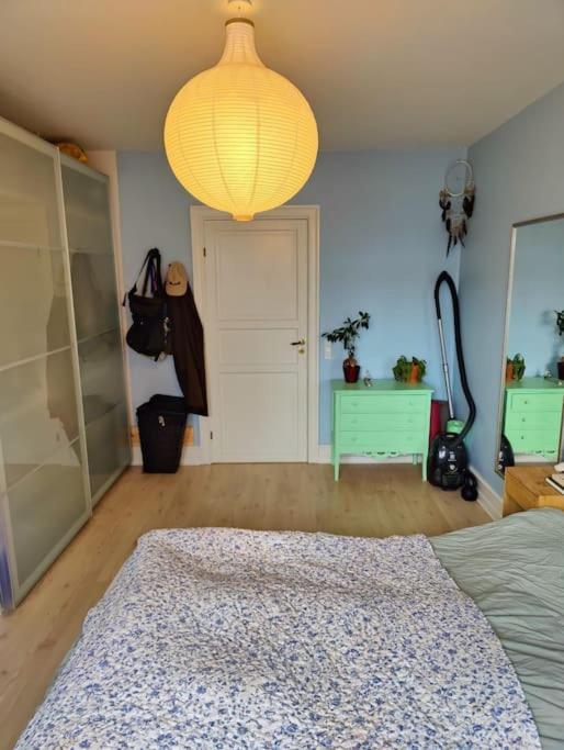 Cozy apartment shared kitchen and bathroom - Housity