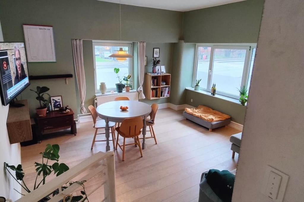 Cozy apartment shared kitchen and bathroom - Housity