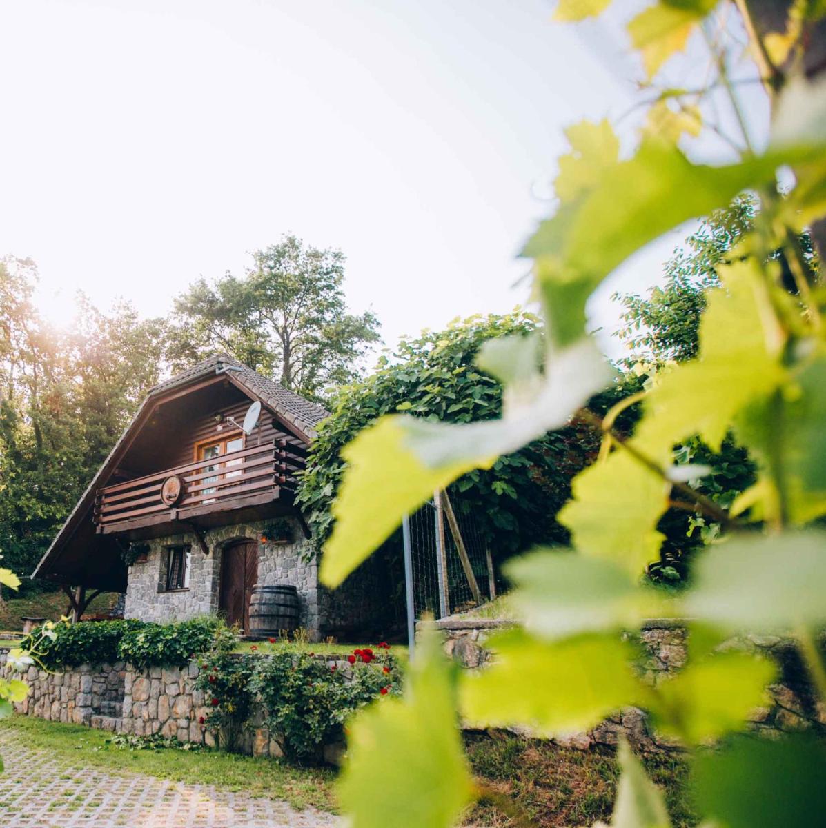 Holiday home in Novo mesto - dostava - Kranjska Krain 26036 - Housity