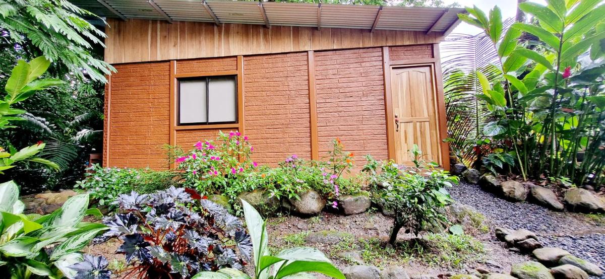 The frog house - Housity