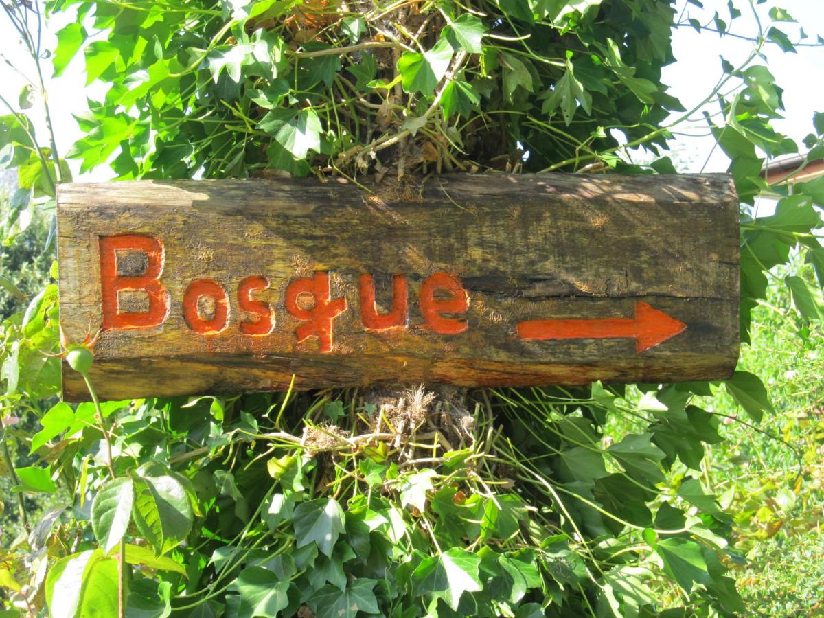 ECOHOSTAL HUELLAS DEL BOSQUE - Housity