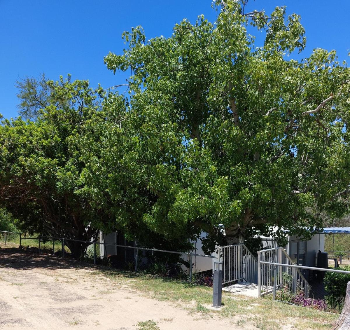 Taroom Caravan & Tourist Park - Housity