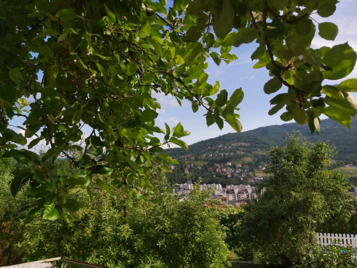 Apartman MIA - Housity