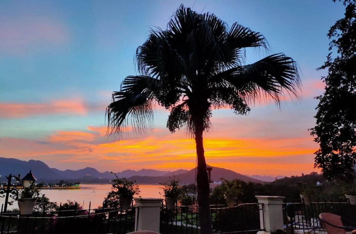 a palm tree with a sunset in the background at The Lalit Laxmi Vilas Palace in Udaipur