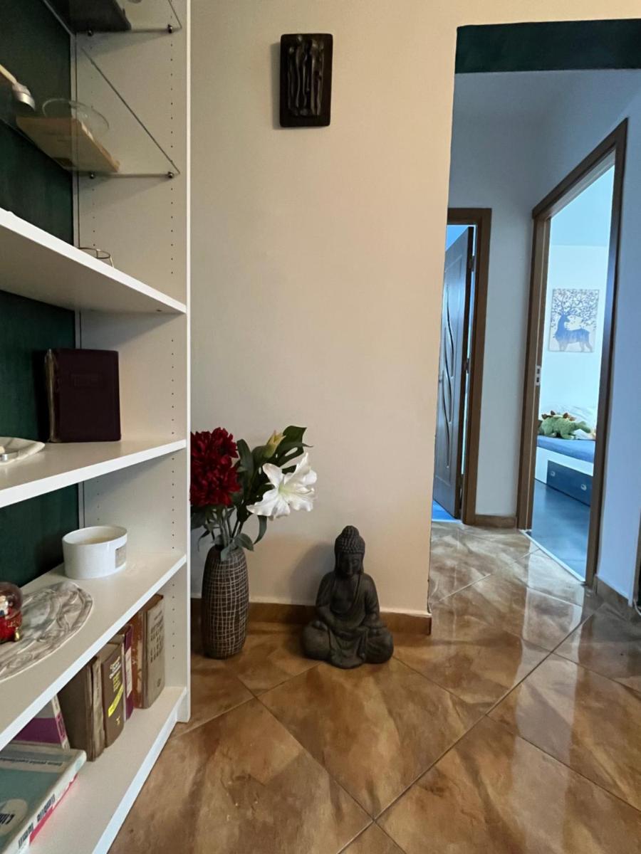 Casa carților - House of book’s - Housity