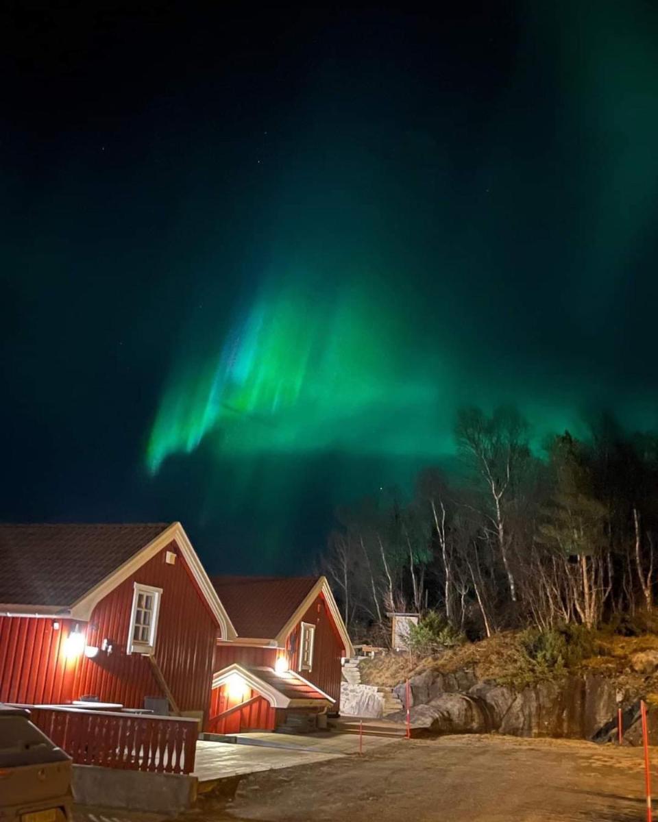 Flott sjøhus rett ved Saltstraumen - Housity
