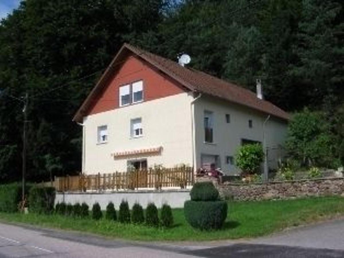 Gîte Alsace proche forêts, randonnée, stations de ski, 2 salons, terrasse sud, cheminée, animaux acceptés - FR-1-589-200 - Housity