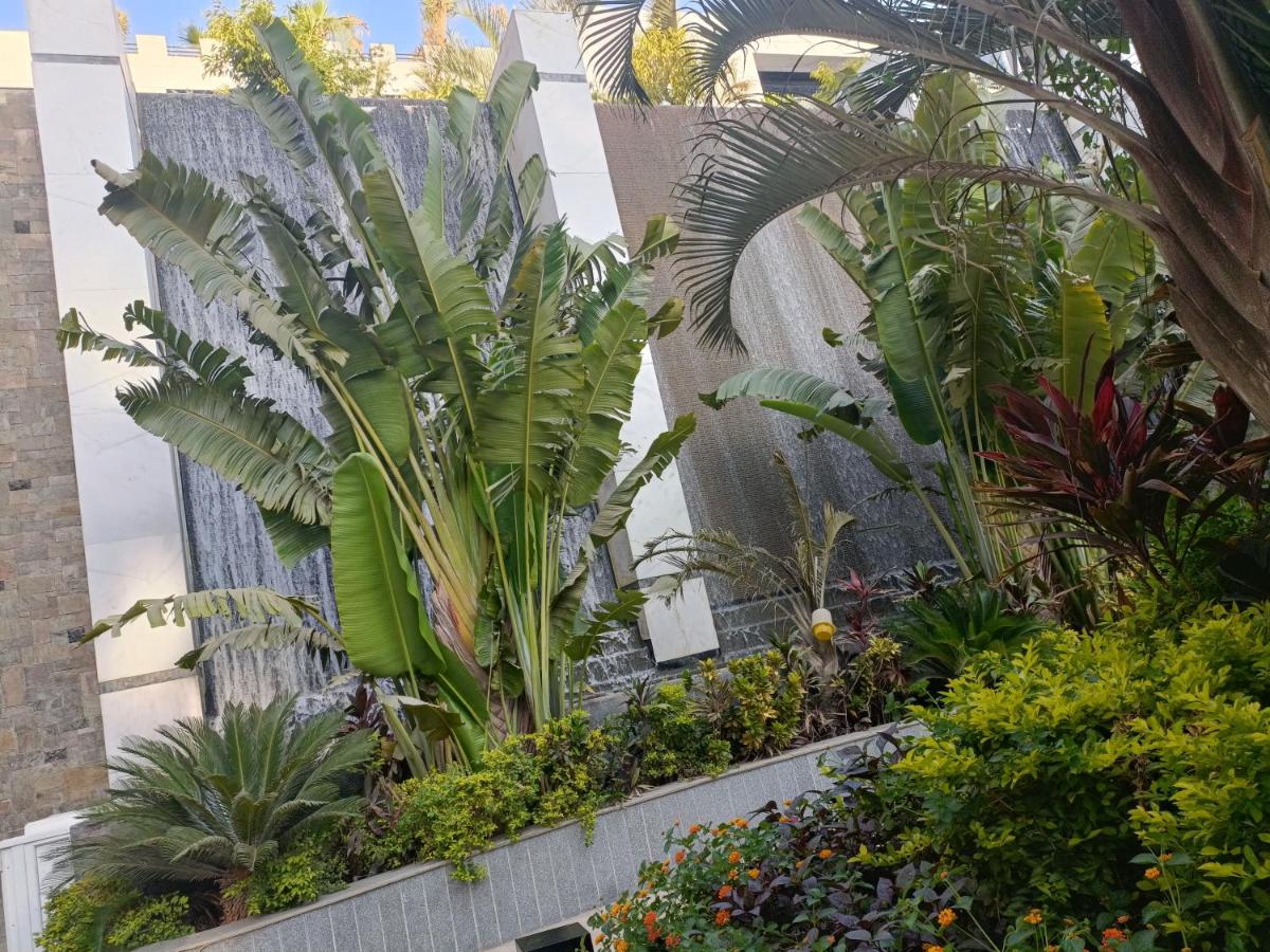 Sheraton Ocean 202 - Private apartments - Housity